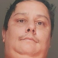 bigbellybrazil Çıplak