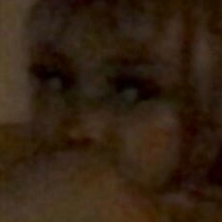 Kittypet Çıplak